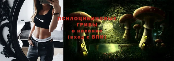 трава Аркадак